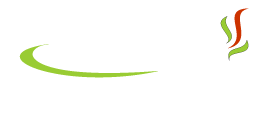catering dow�z